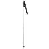 Pure Carbon Ski Poles