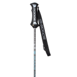 Pure Carbon Ski Poles