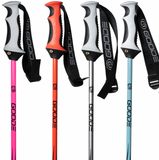 SuperMax Whisp Ski Poles