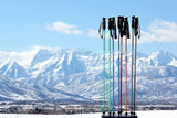 Carbon Neutral Ski Poles