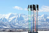 GOODE Carbon Neutral Ski Poles