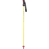 Pure Carbon Ski Poles