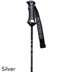 Pure Carbon Silver Ski Pole