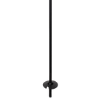 Pure Carbon Ski Poles