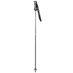 Pure Carbon Ski Poles