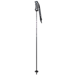 Pure Carbon Ski Poles