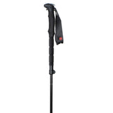 Adjustable Pure Carbon Ski Poles