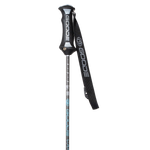 Pure Carbon Ski Poles