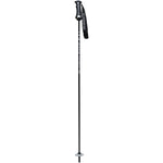 Pure Carbon Silver Ski Pole