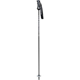 Pure Carbon Silver Ski Pole