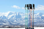 Carbon Neutral Ski Pole